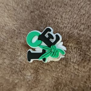 💥 5/$15 Croc Charm